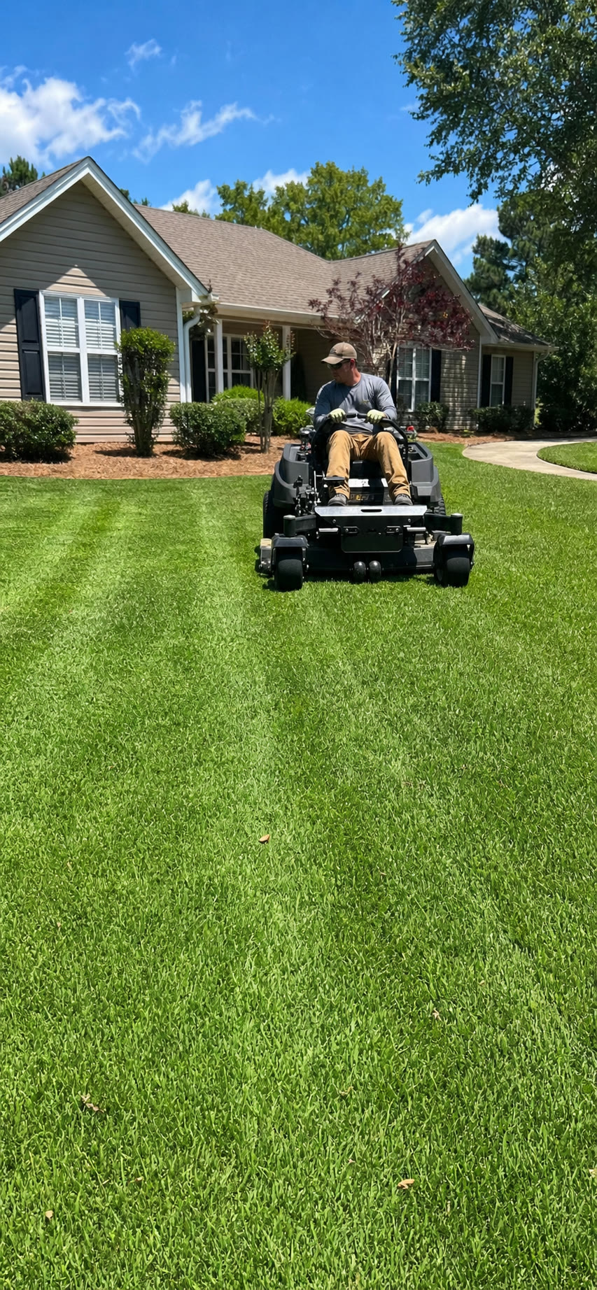 Freshly mowed lawn with crisp stripes